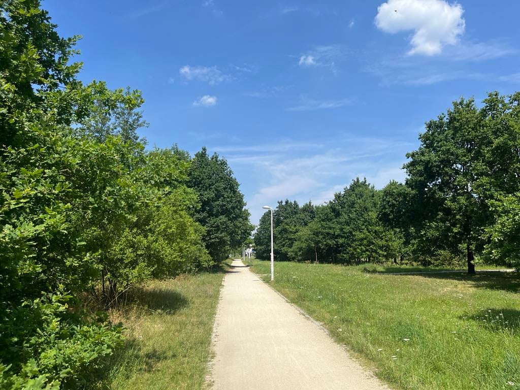 Park Maślicki po inwestycjach ZZM i WBO