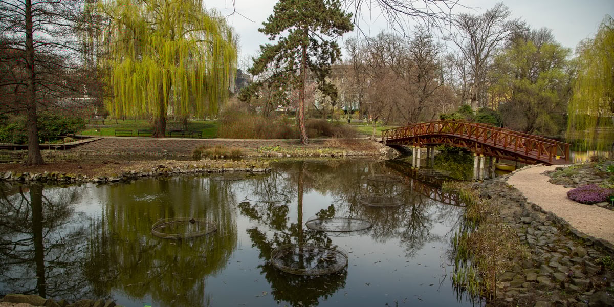 Ogród Botaniczny Uniwersytetu Wrocławskiego