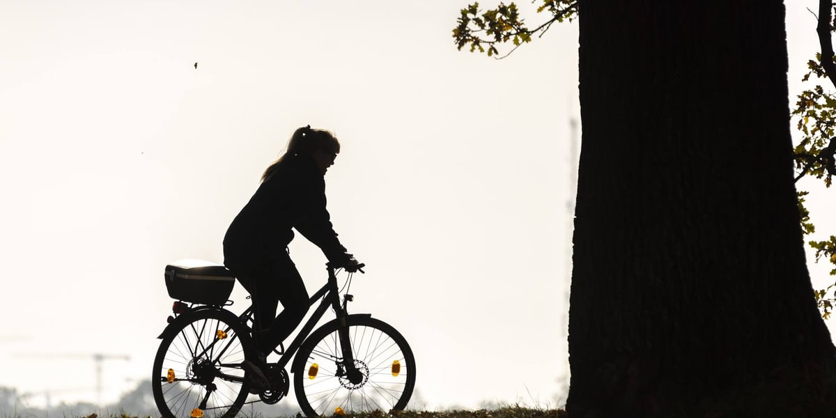 Rowerzystka jadąca we Wrocławiu. Na pierwszym planie: drzewo