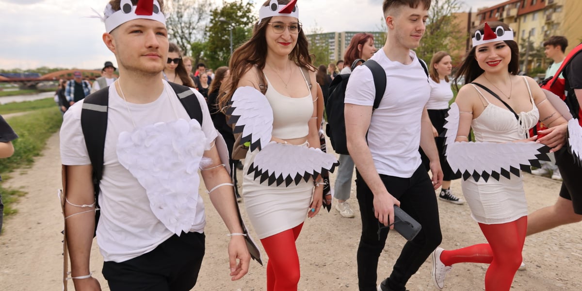Juwenalia 2023 we Wrocławiu. Pochód studentów - na zdjęciu ludzie przebrani za bociany 