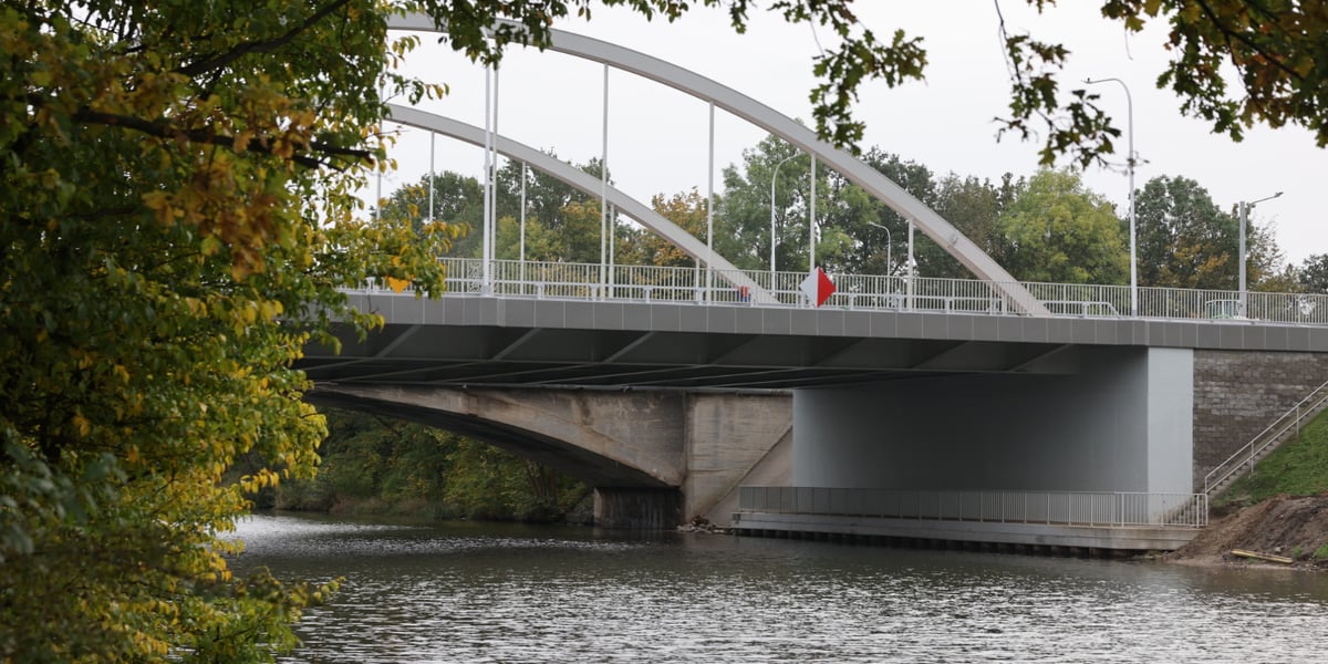 Fragment nowych mostów Chrobrego widziany zza drzewa
