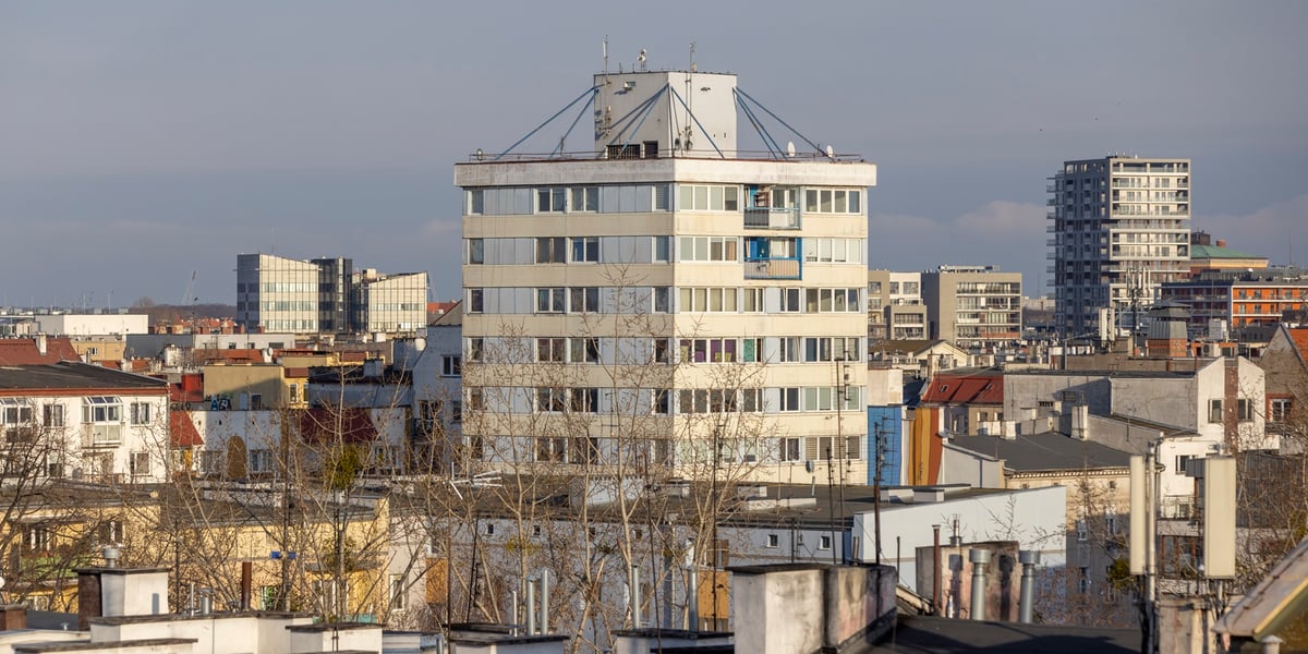Trzonolinowiec we Wrocławiu
