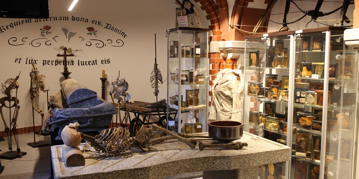 Muzeum Medycyny Sądowej we Wrocławiu, ekspozycja