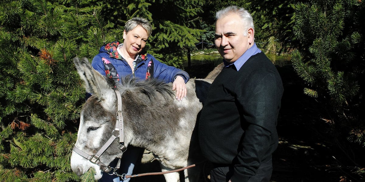 Katarzyna i Jerzy Słupscy ze swoim osiołkiem