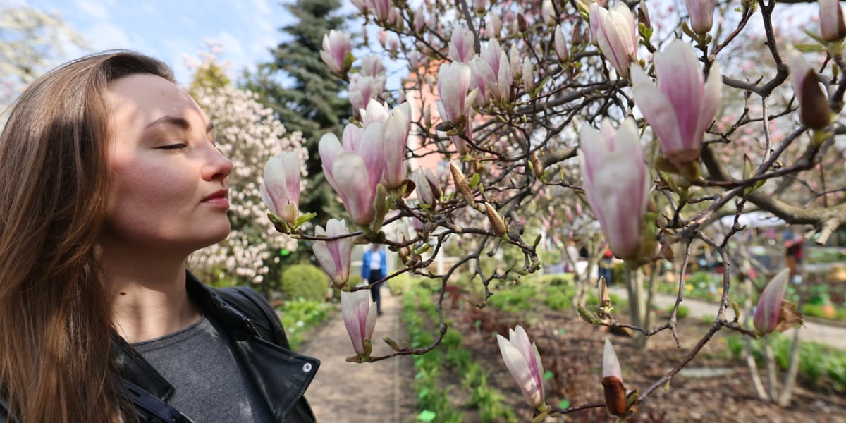 Uczestniczka Festiwalu Magnolii w Ogrodzie Botanicznym przy kwitnącym drzewie.
