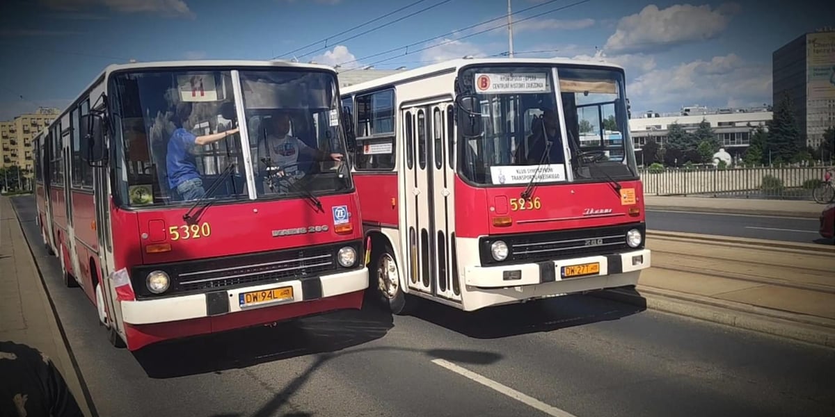 Dwa zabytkowe autobusy marki Ikarus na moście Pokoju we Wrocławiu.