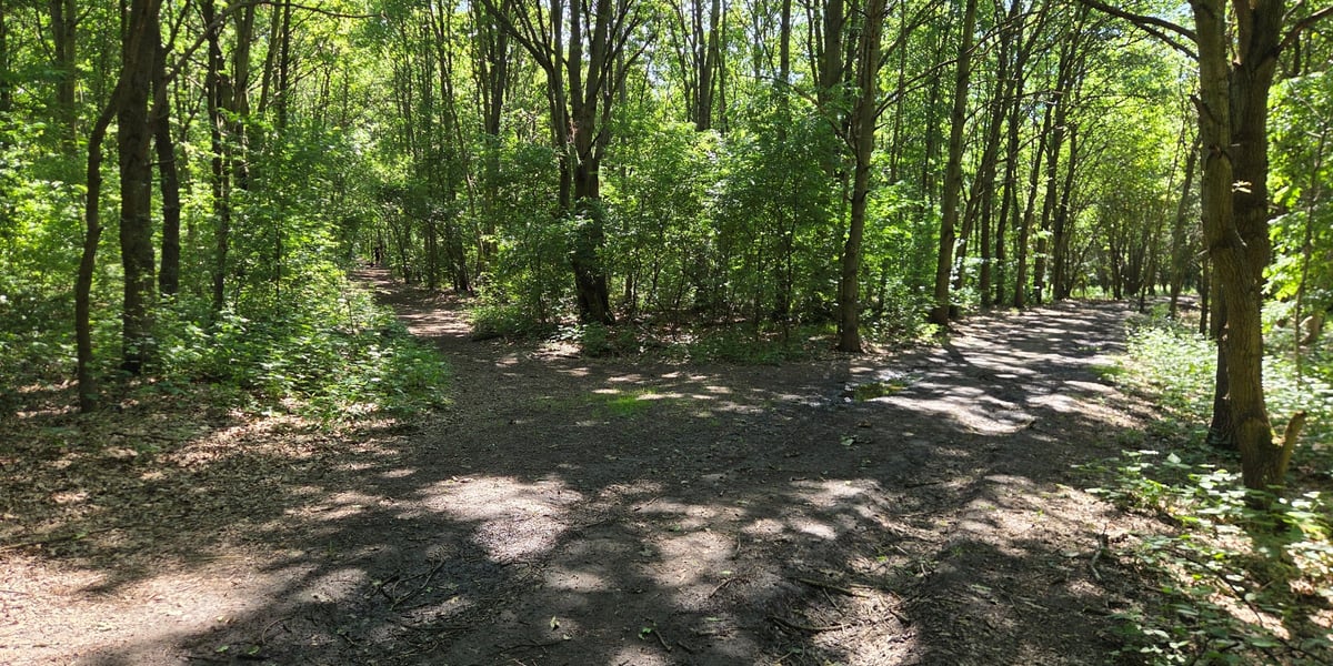 Park Maślicki