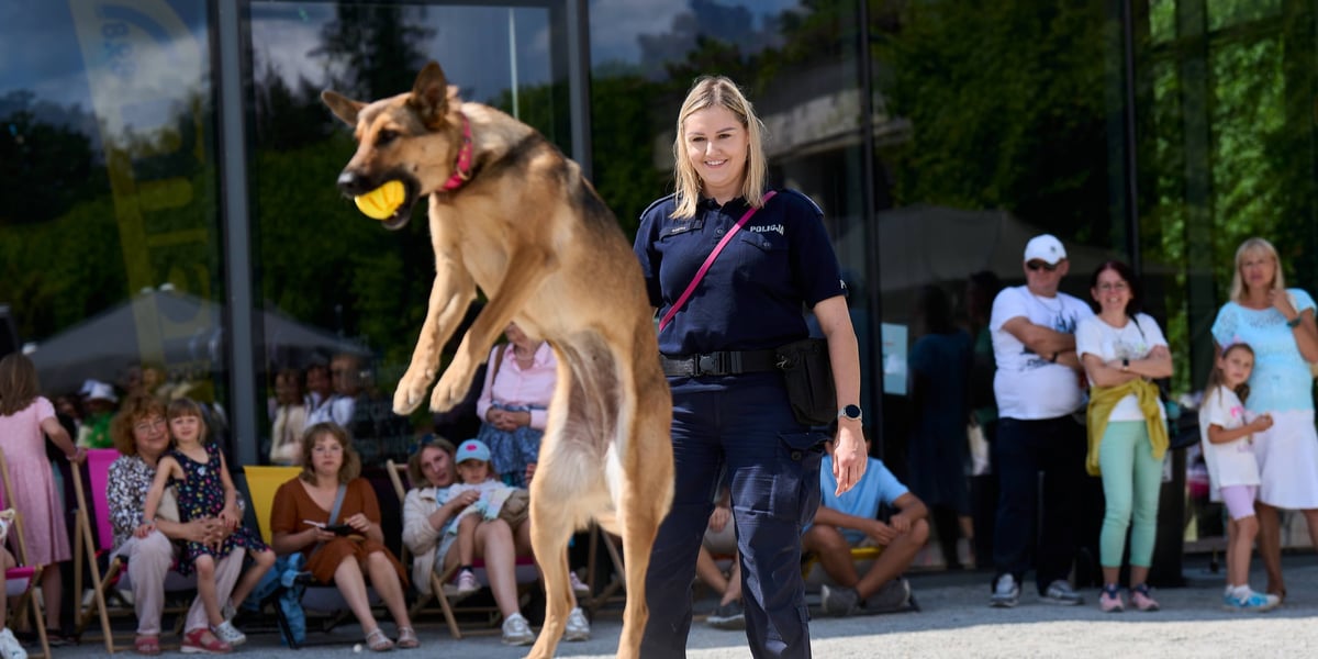 Piknik z policją na Pergoli 