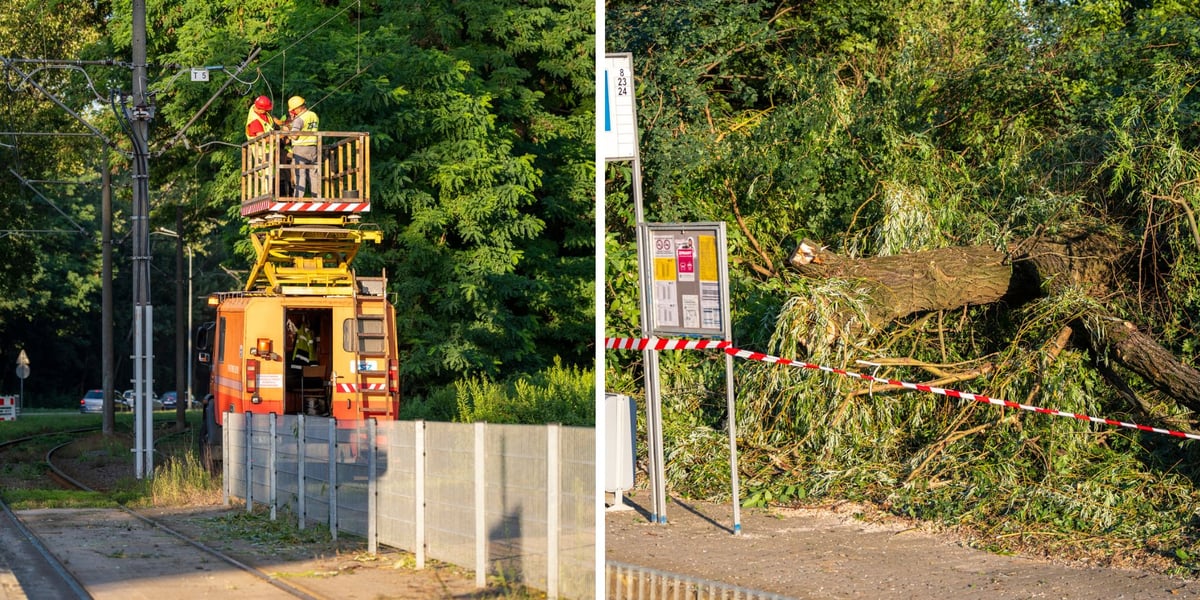 Zdjęcie podzielone na pół: z lewej - wóz pogotowia sieciowego MPK przy naprawie sieci trakcyjnej na ul. Kwidzyńskiej; z prawej - złamane konary i gałęzie drzewa, które spadły na torowisko i trakcję w rejonie  przystanku przy ul. Gęsiej.
