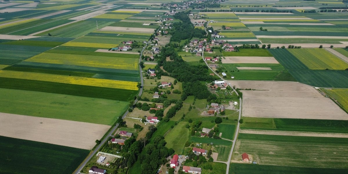 Dziadowa Kłoda, panorama