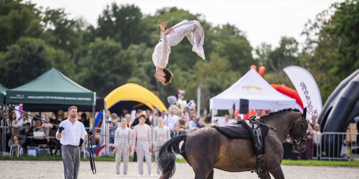 Pokaz woltyżerki sportowej podczas Wielkiej Wrocławskiej, 06.09.2026 r.