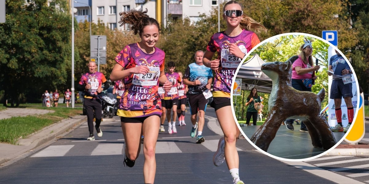 Dwie młode kobiety biegnące ulicą, w tle inni uczestnicy III edycji Biegu z Kozą na Kozanowie, 3 października 2026 r.; w okrągłym kadrze z prawej figura kozy w wiosce biegowej.