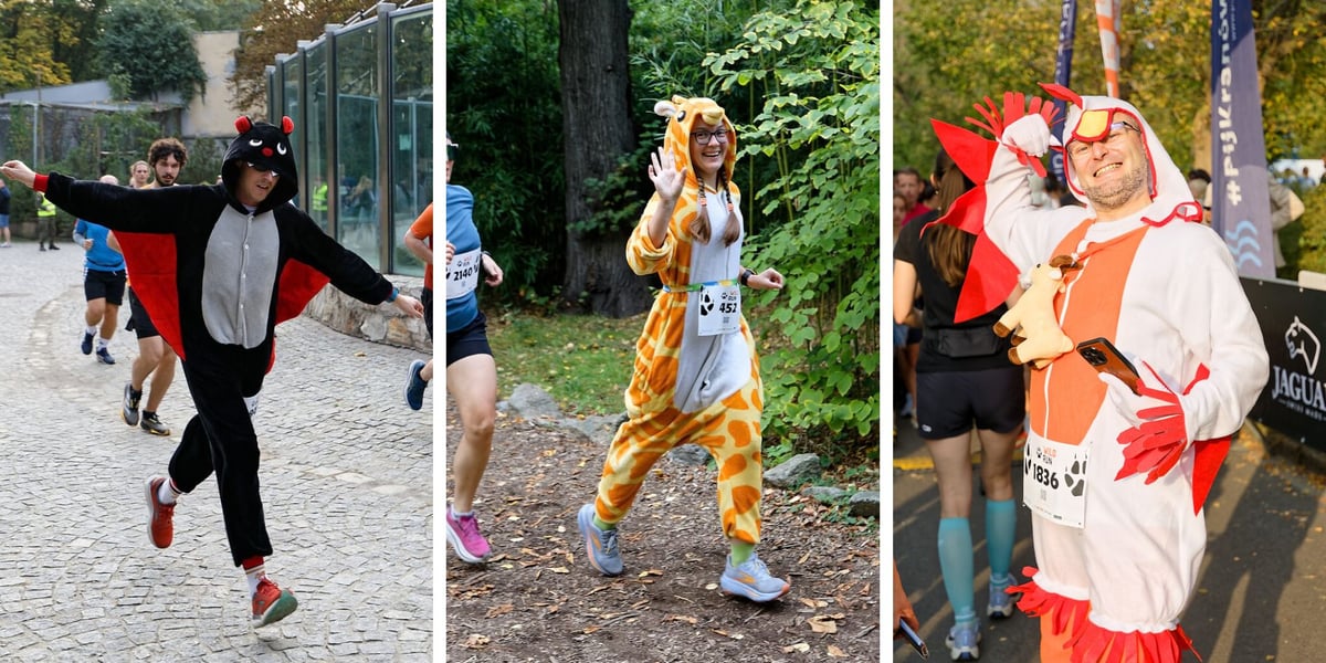 Zdjęcie podzielone na trzy części - od lewej do prawej uczestnicy Wild Run 2026 we wrocławskim zoo w różnych przebraniach zwierzęcych.