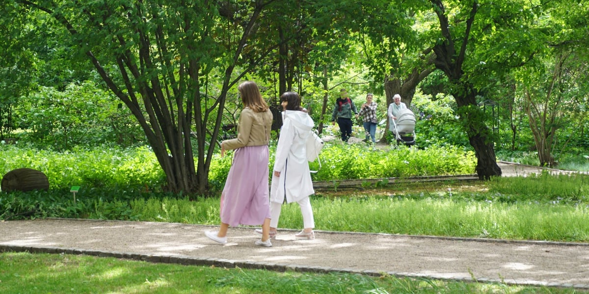 Mentoring Walk we Wrocławiu