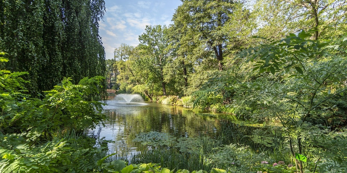 Ogród Botaniczny we Wrocławiu to miejsce, w którym znajdziemy mnóstwo ciekawych roślin