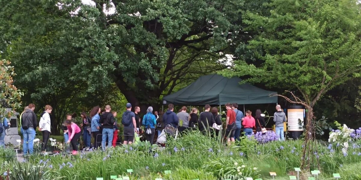 Kiermasz roślin w Ogrodzie Botanicznym