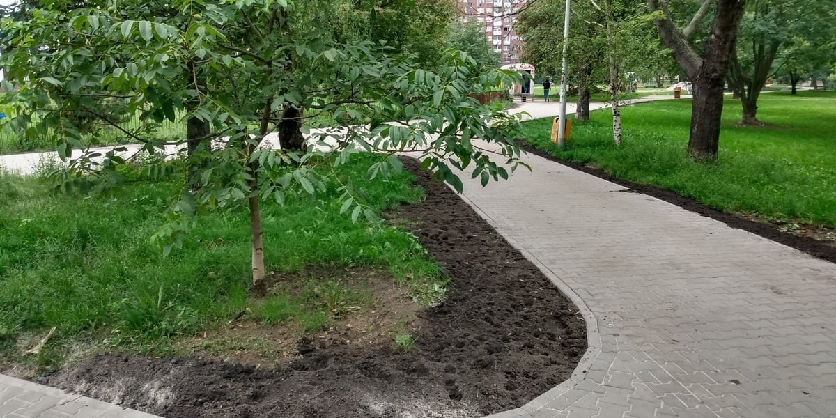 Chodniki z nową kostką w okolicach ul. Żmigrodzkiej