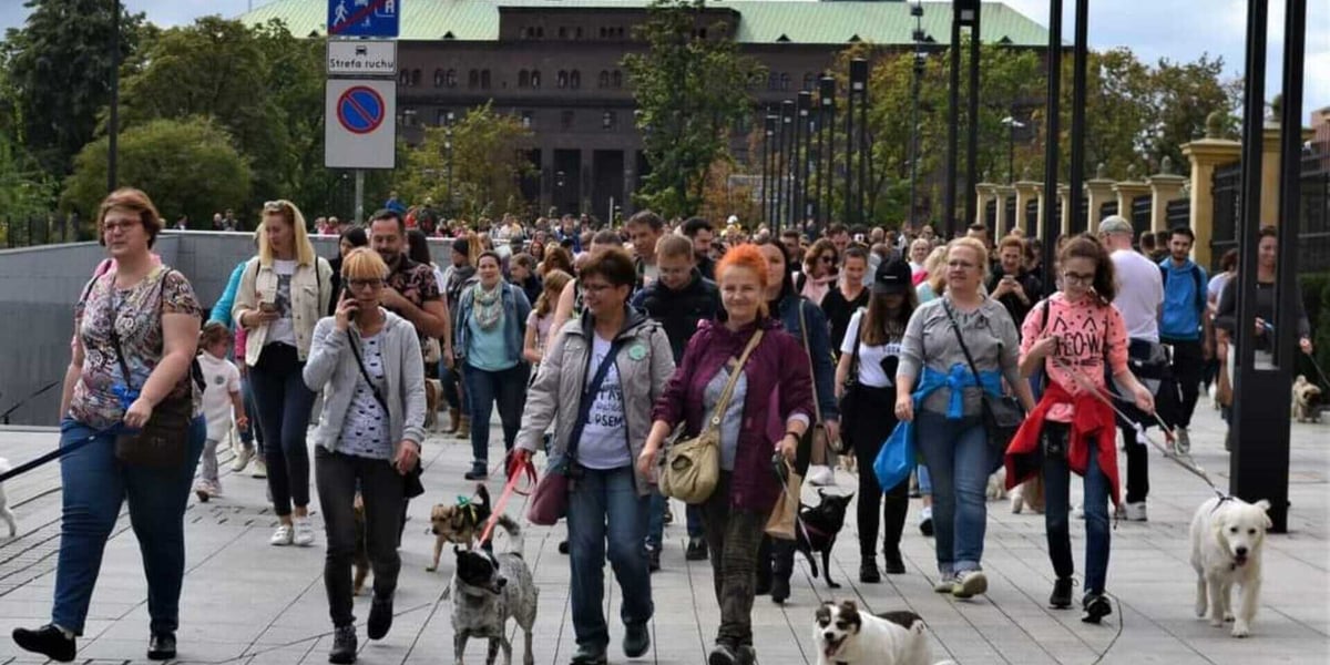 Parada Psów Wrocławskich. Zobacz zdjęcia z poprzedniej edycji!