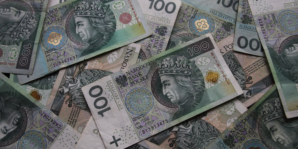 Na zdjęciu polskie banknoty