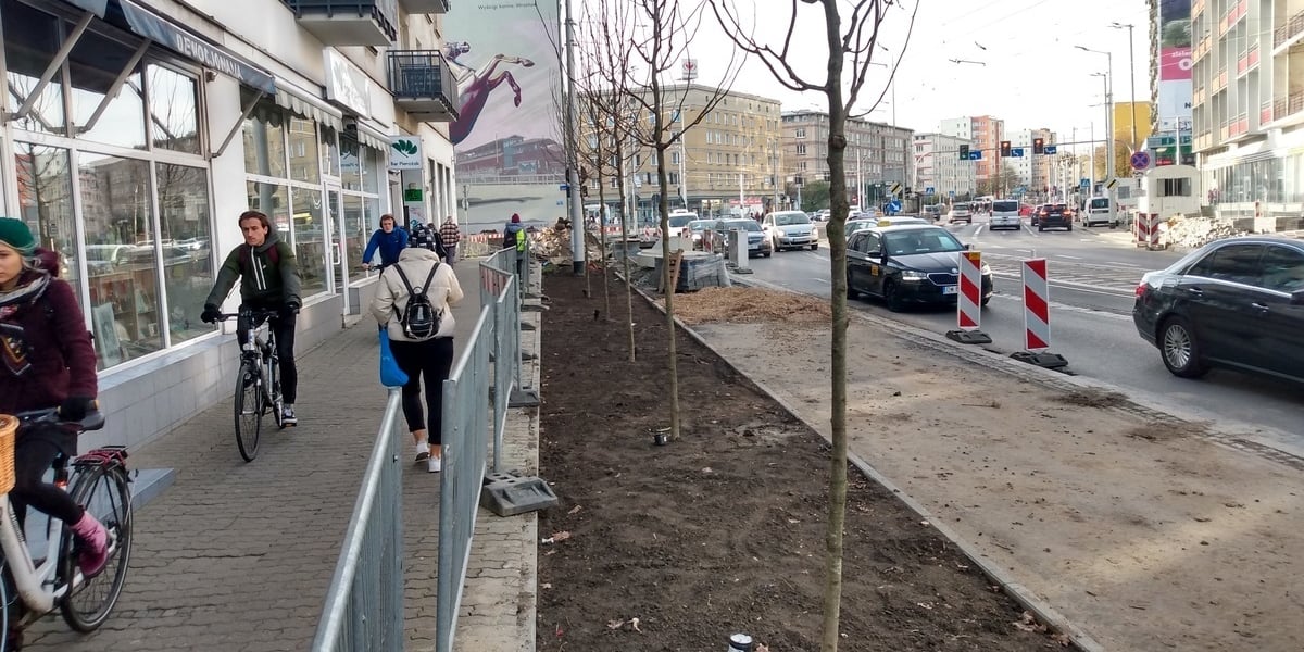 Na zdjęciu budowa drogi rowerowej przy ul. Sądowej. Widać świeżo posadzone drzewa, przygotowywaną trasę i jadących na razie chodnikiem rowerzystów.