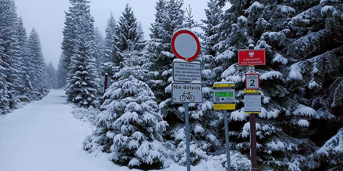 Na zdjęciu śnieg w Karkonoszach.