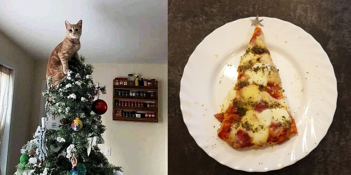 Na zdjęciu choinki naszych użytkowników.