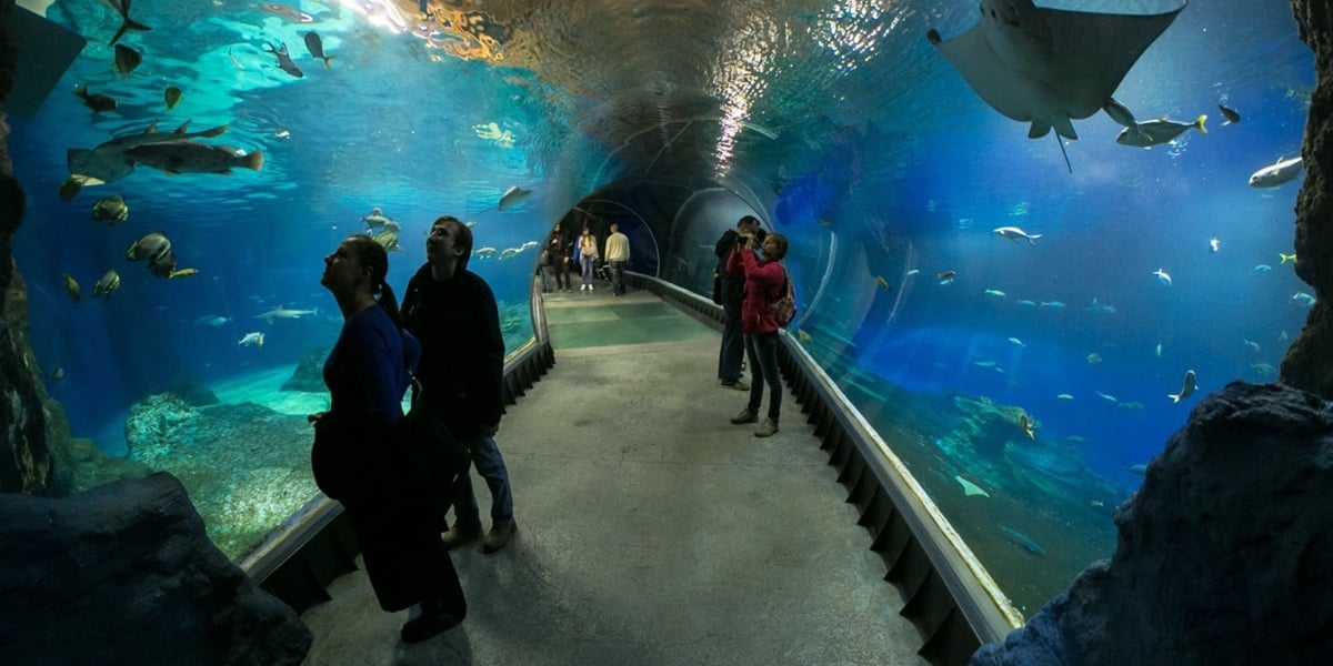 Na zdjęciu: afrykarium ZOO Wrocław