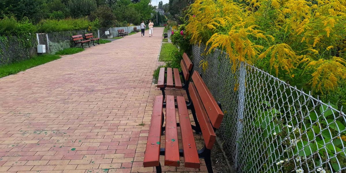 Budowa alei Oporowskiej na terenie ROD Gajowice