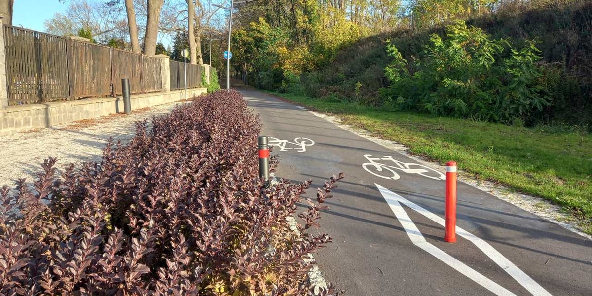 Przebudowa promenady Krzyckiej w celu wydzielenia dróg rowerowych