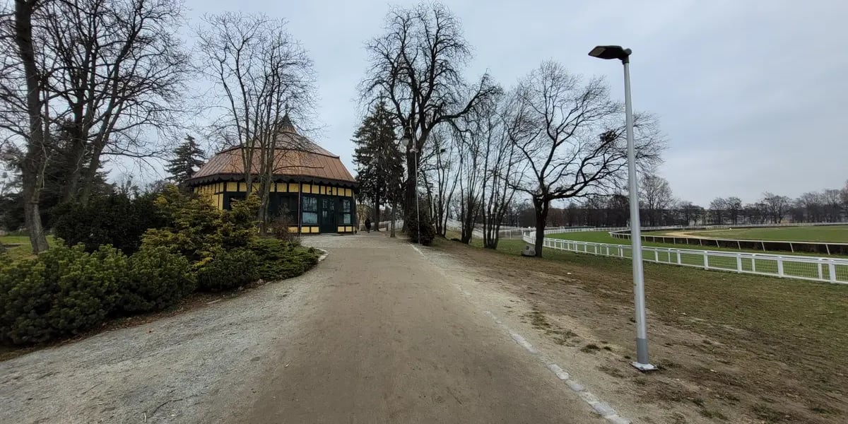 Oświetlenie ścieżki pieszo-biegowej w parku linearnym na Torze Wyścigów Konnych