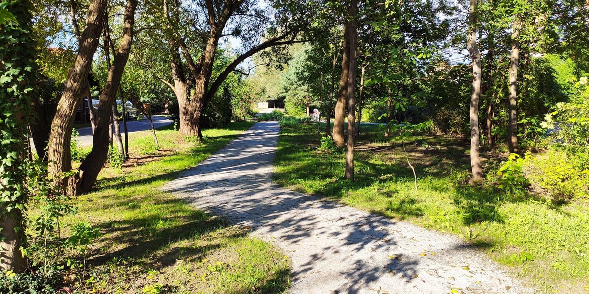 Zieleniec przy ul. Litewskiej – Psie Pole, Zakrzów, Zgorzelisko i Strachocin