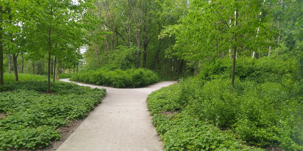 ZIELONO MI – Zielona Lipa i Widawa – ulice, minipark przy pętli i Park Widawski – Etap II