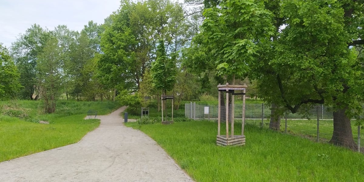 Parki kieszonkowe, nasadzenia i zielone zakątki w całym mieście – Park Kieszonkowy przy kładce Pawłowickiej