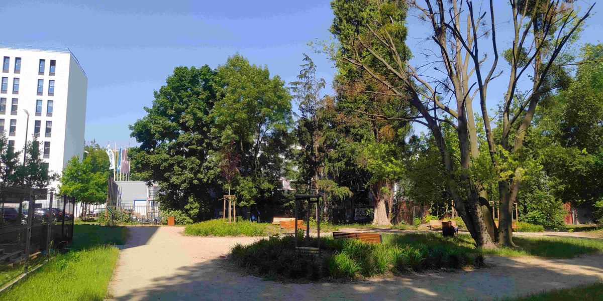 Parki kieszonkowe, nasadzenia i zielone zakątki w całym mieście – Kameralny Park Kieszonkowy – przy ul. Prusa