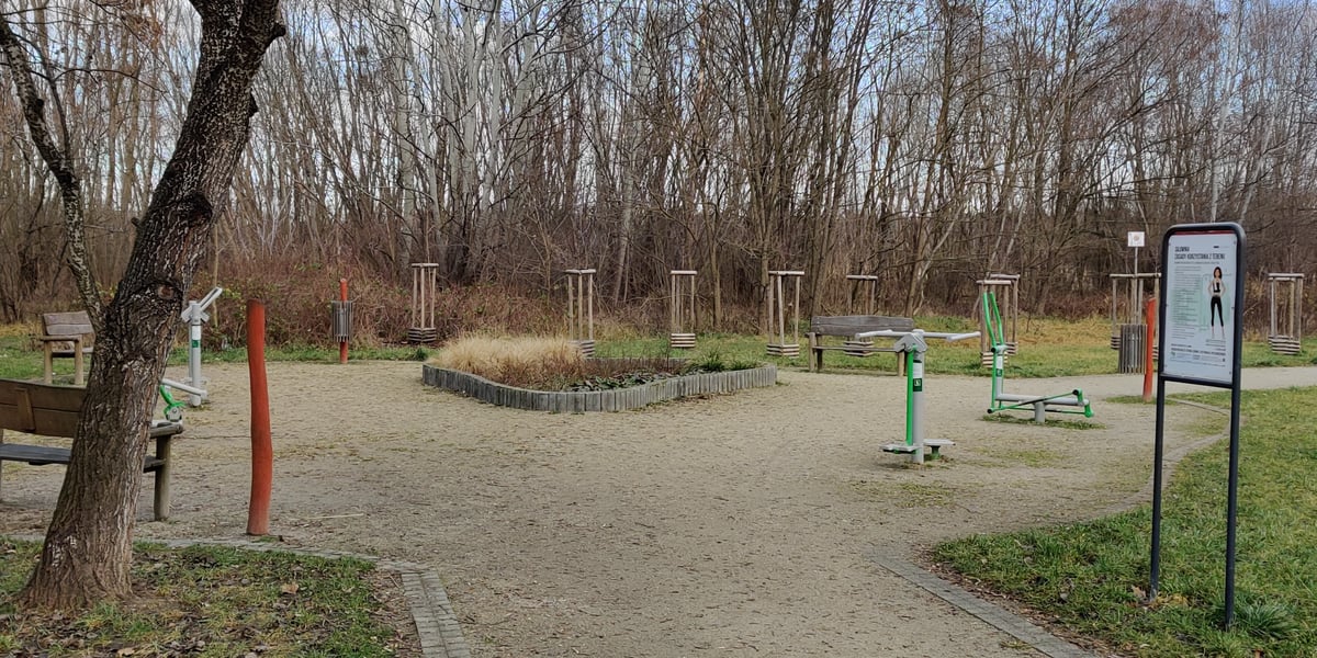 Zielona strefa dla mieszkańców przy ul. Głównej – cz.1