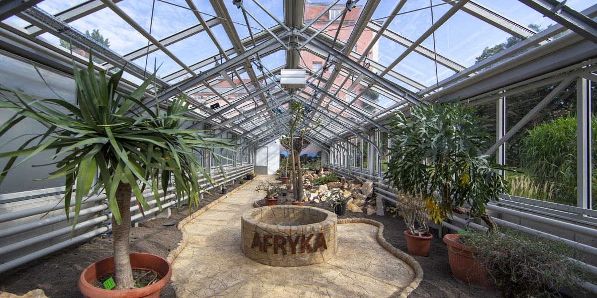Nowa szklarnia w Ogrodzie Botanicznym