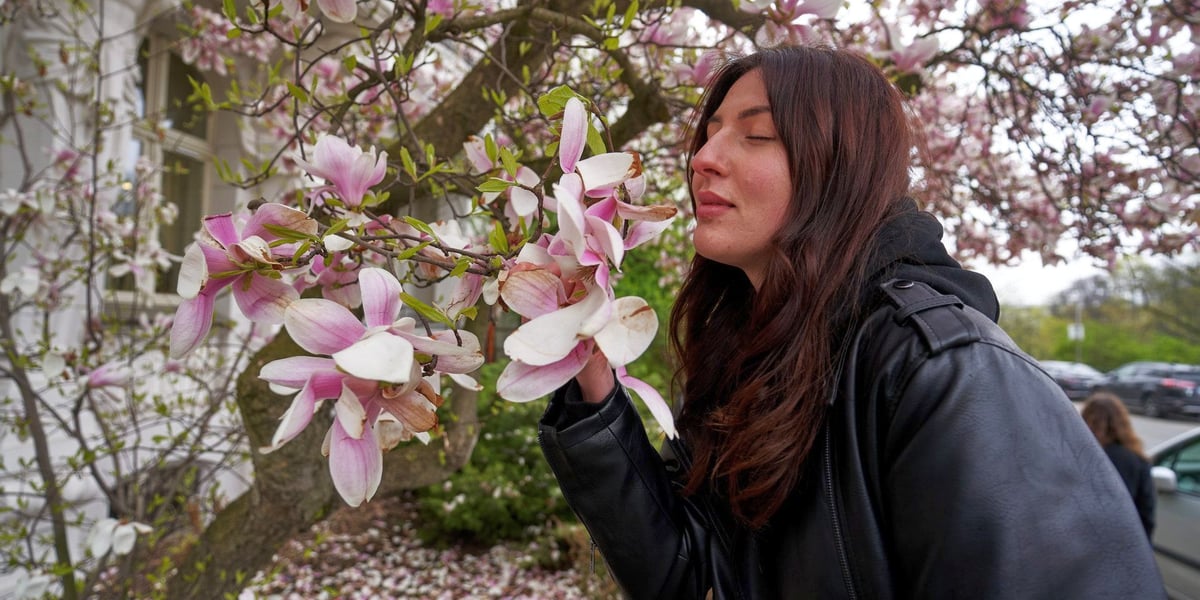 Młoda dziewczyna wącha magnolię przy Podwalu