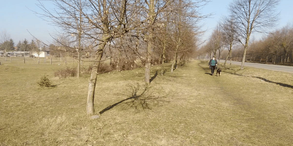 Budowa ciągu pieszo-rowerowego przy ul. Koziej