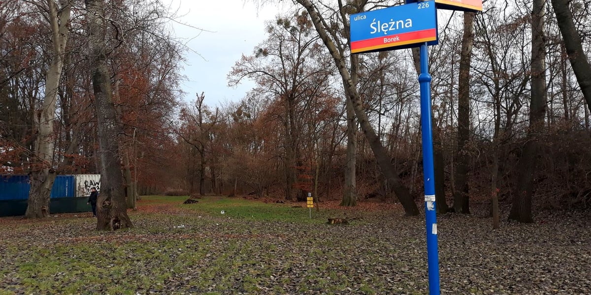 Budowa Promenady Krzyckiej na odcinku Spiska–Ślężna