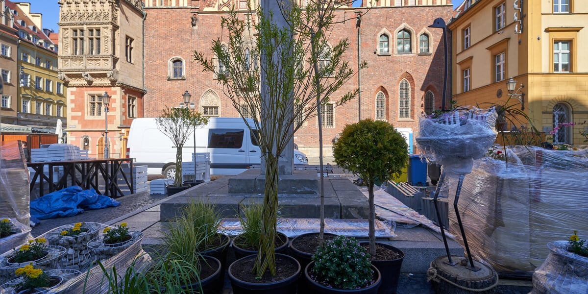 Rozstawianie Jarmarku Świętojańskiego, Wrocław 12 maja 2023