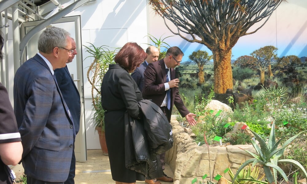 Szklarnia z sukulentami z Meksyku; gościom o roślinach opowiada prof. Zygmunt Kącki, dyrektor Ogrodu Botanicznego Uniwersytetu Wrocławskiego