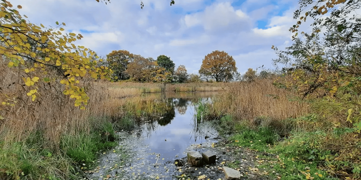 Park na Swojczycach „Smocze Uroczysko”