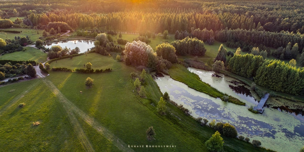 Arboretum Leśne, widok z lotu ptaka