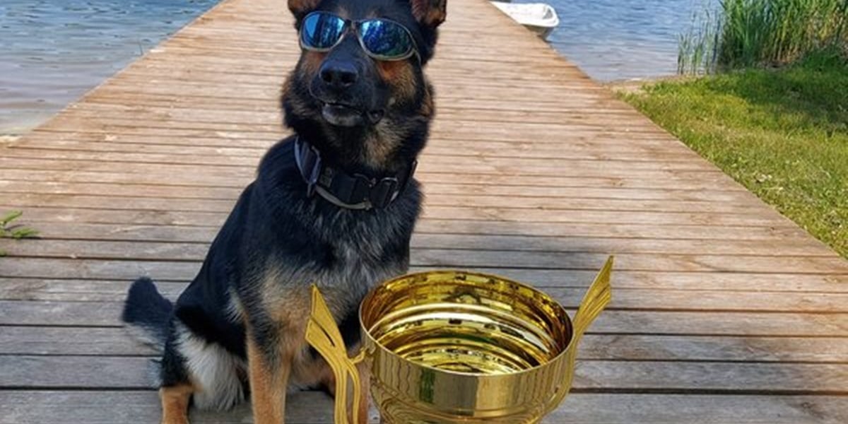 Oksza, triumfatorka konkursu psów służbowych w Piszu