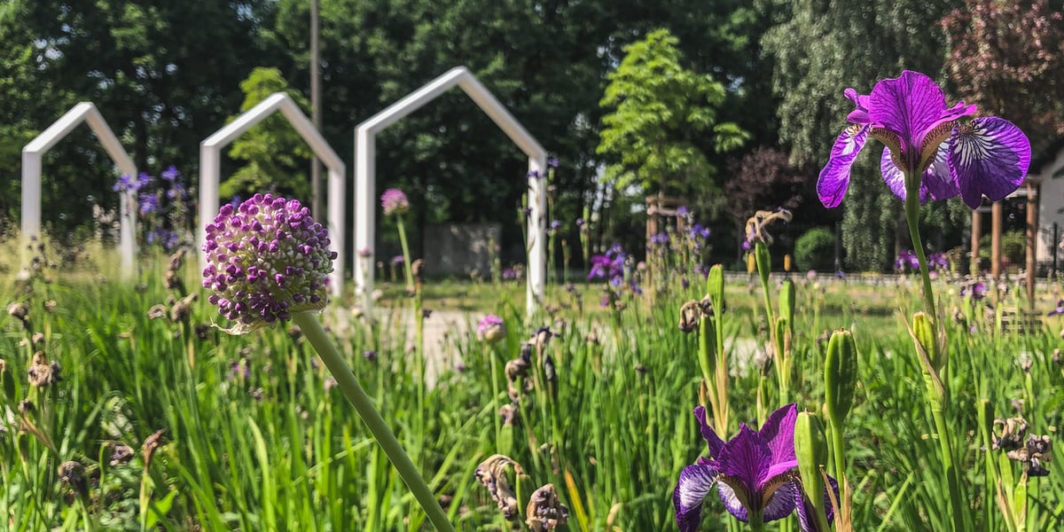 Park kieszonkowy przy ul. Tczewskiej na osiedlu Kowale