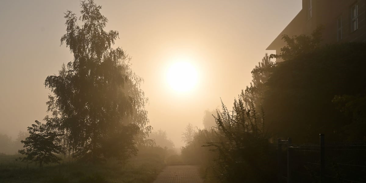 Wschodzące słońce nad osnutymi mgłą Złotnikami.