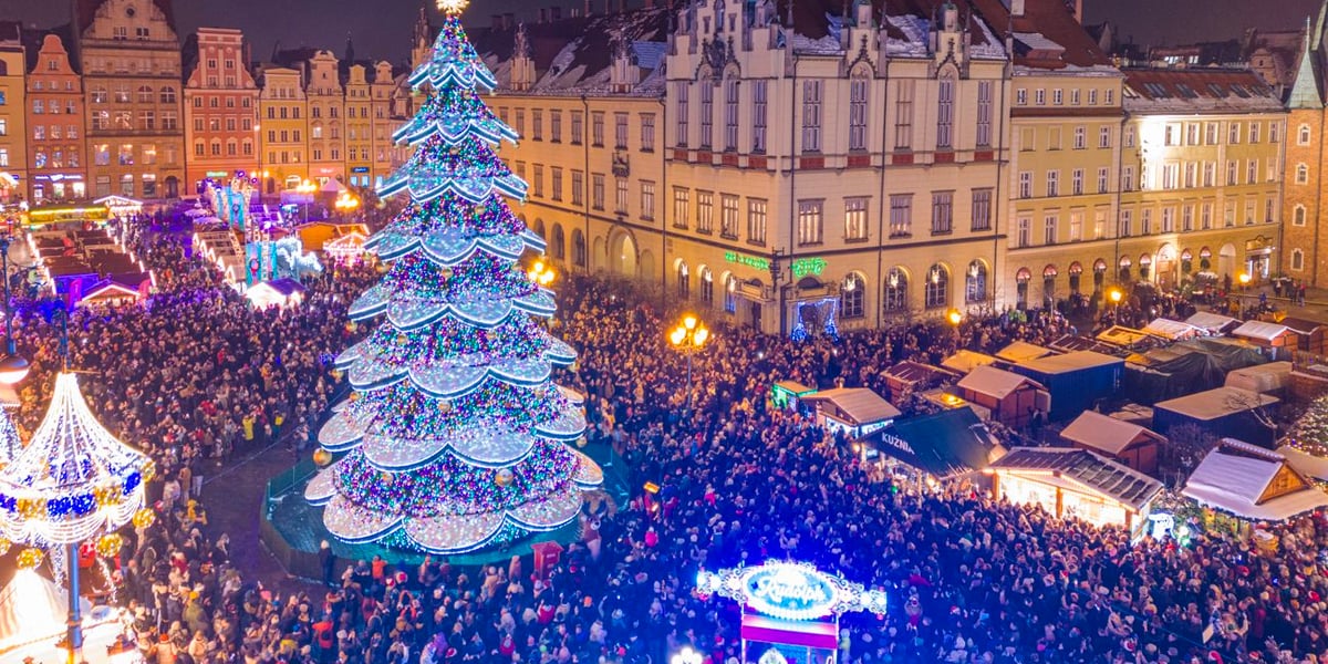 Choinka na wrocławskim rynku, 6 grudnia 2023