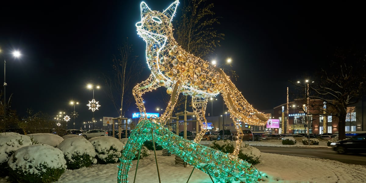 Iluminacja przy Magnolii przedstawiająca liska