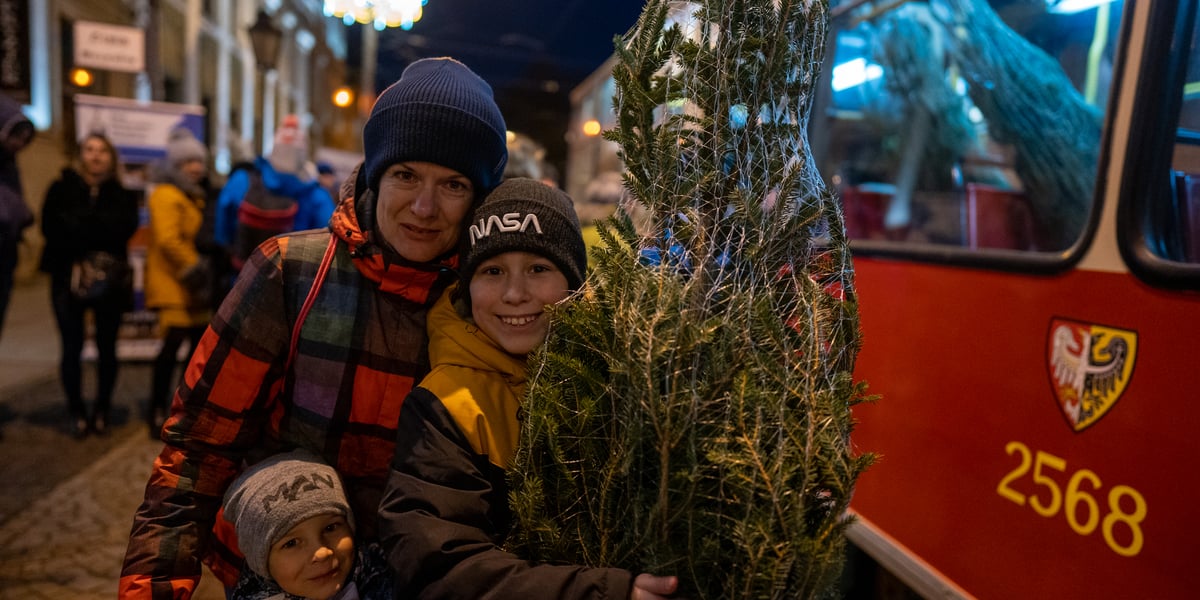 Wrocławianie mogli otrzymać dzisiaj żywe choinki, za darmo! 