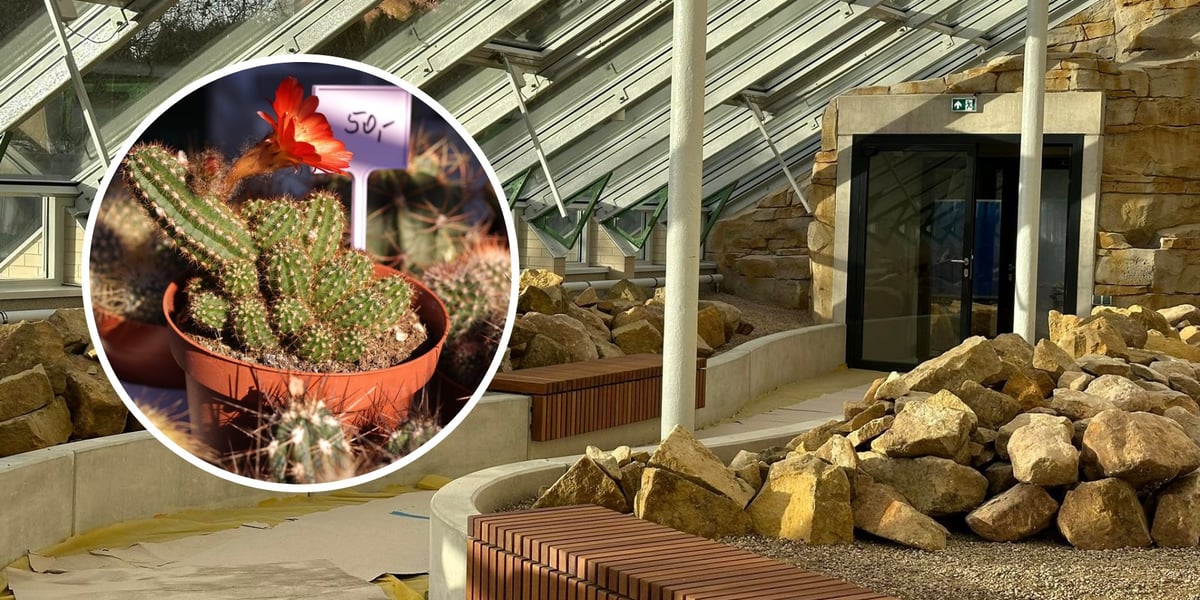 Kaktusiarnia w Ogrodzie Botanicznym po remoncie